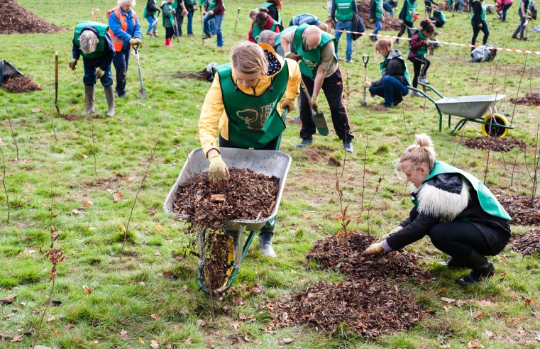 NORTHWOOD ON COURSE TO PLANT 1000 TREES BY END OF 2023