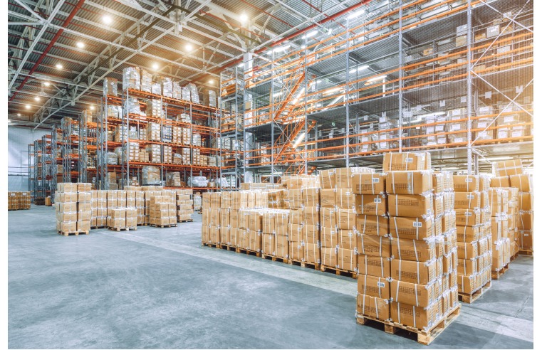 THE IMPORTANCE OF PROFESSIONAL INSECT CONTROL IN WAREHOUSES