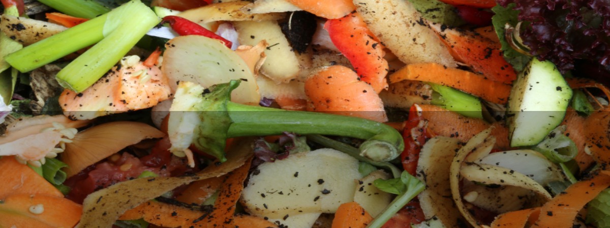 AN APPETITE FOR COMPOSTING