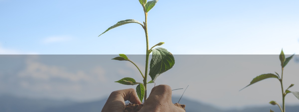 AN END TO GREENWASHING AN END TO GREENWASHING