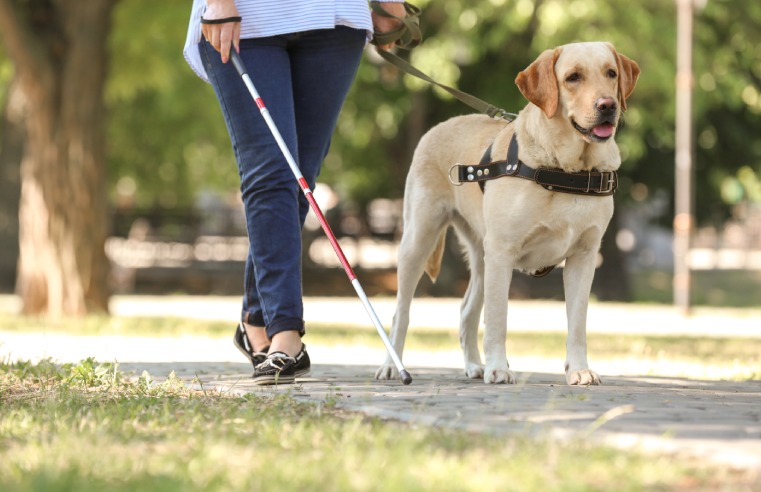 EQUANS AWARDED GUIDE DOGS DEAL