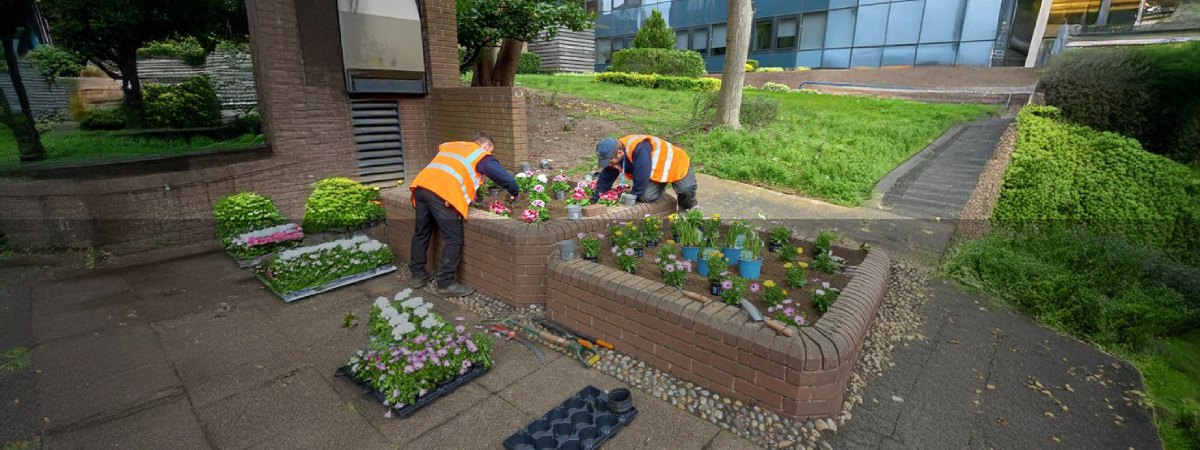 NATURE BY NUMBERS: THE ART OF BIODIVERSE LANDSCAPING
