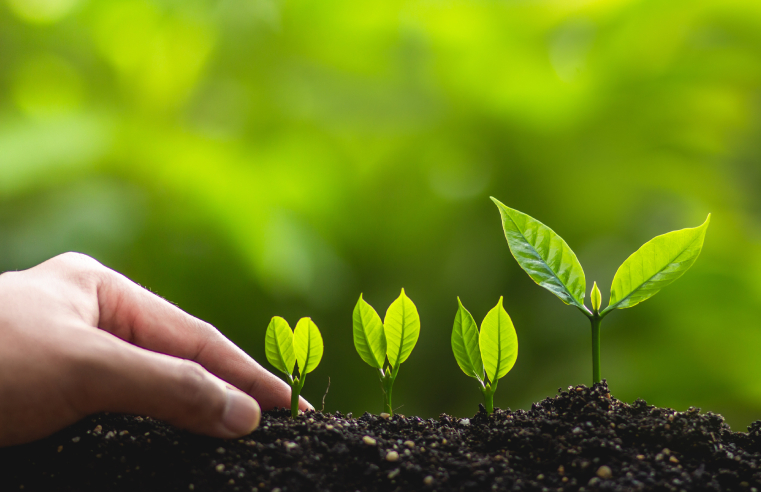 WHY IS SUSTAINABILITY A TEAM GAME? 